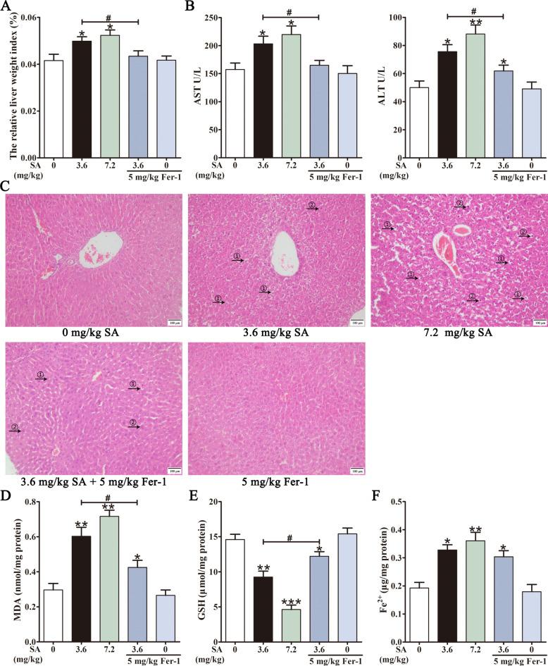 https://cdn.ncbi.nlm.nih.gov/pmc/blobs/e850/11706965/72038955b325/41598_2024_79723_Fig1_HTML.jpg