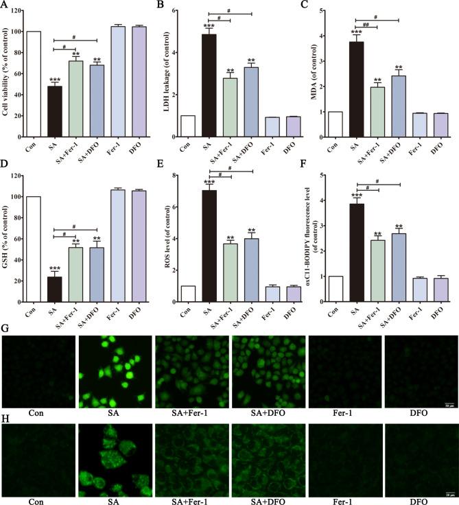 https://cdn.ncbi.nlm.nih.gov/pmc/blobs/e850/11706965/fdfe12693256/41598_2024_79723_Fig3_HTML.jpg