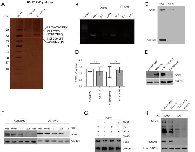 https://cdn.ncbi.nlm.nih.gov/pmc/blobs/e850/8825559/f31bbce042ea/atm-10-01-10-f3.jpg