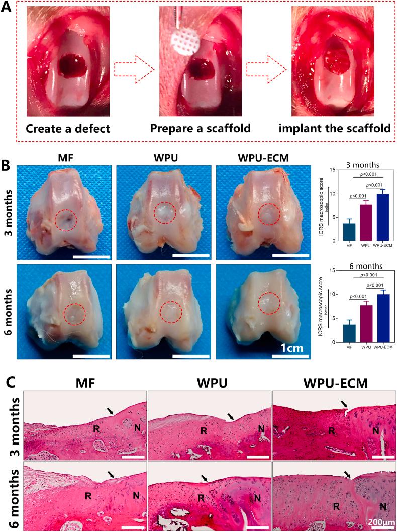 https://cdn.ncbi.nlm.nih.gov/pmc/blobs/e852/7772526/865375a0acd8/gr5.jpg