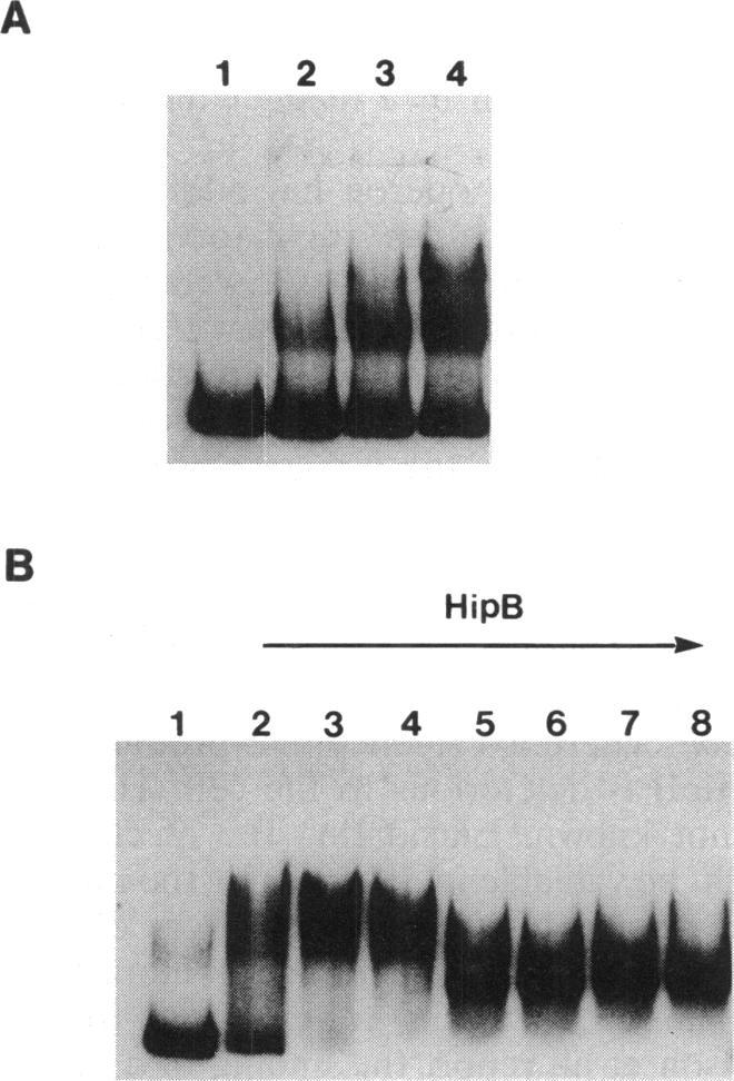 https://cdn.ncbi.nlm.nih.gov/pmc/blobs/e853/205607/66f2109bac64/jbacter00031-0277-b.jpg