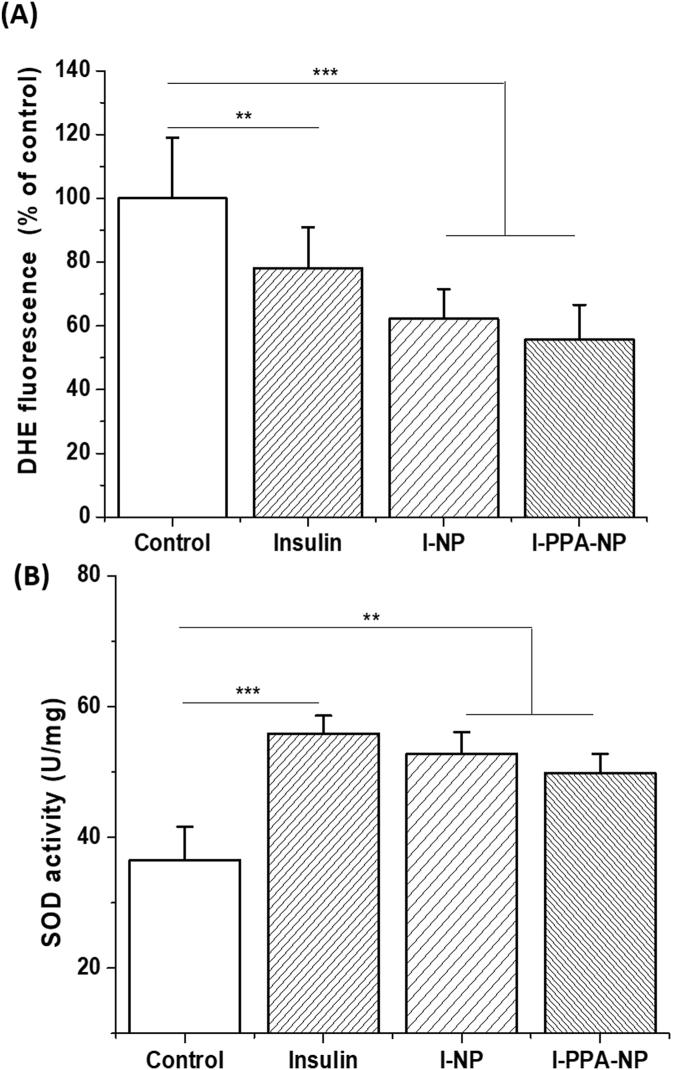 https://cdn.ncbi.nlm.nih.gov/pmc/blobs/e853/8105877/2817606c5ecb/gr8.jpg