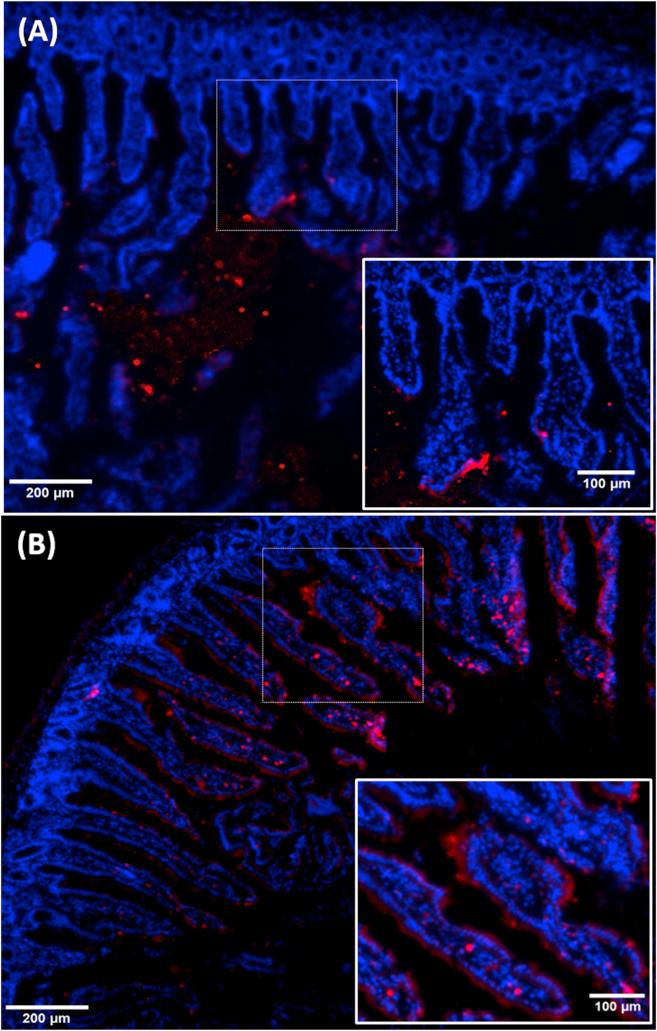 https://cdn.ncbi.nlm.nih.gov/pmc/blobs/e853/8105877/5b9e6904574c/gr5.jpg