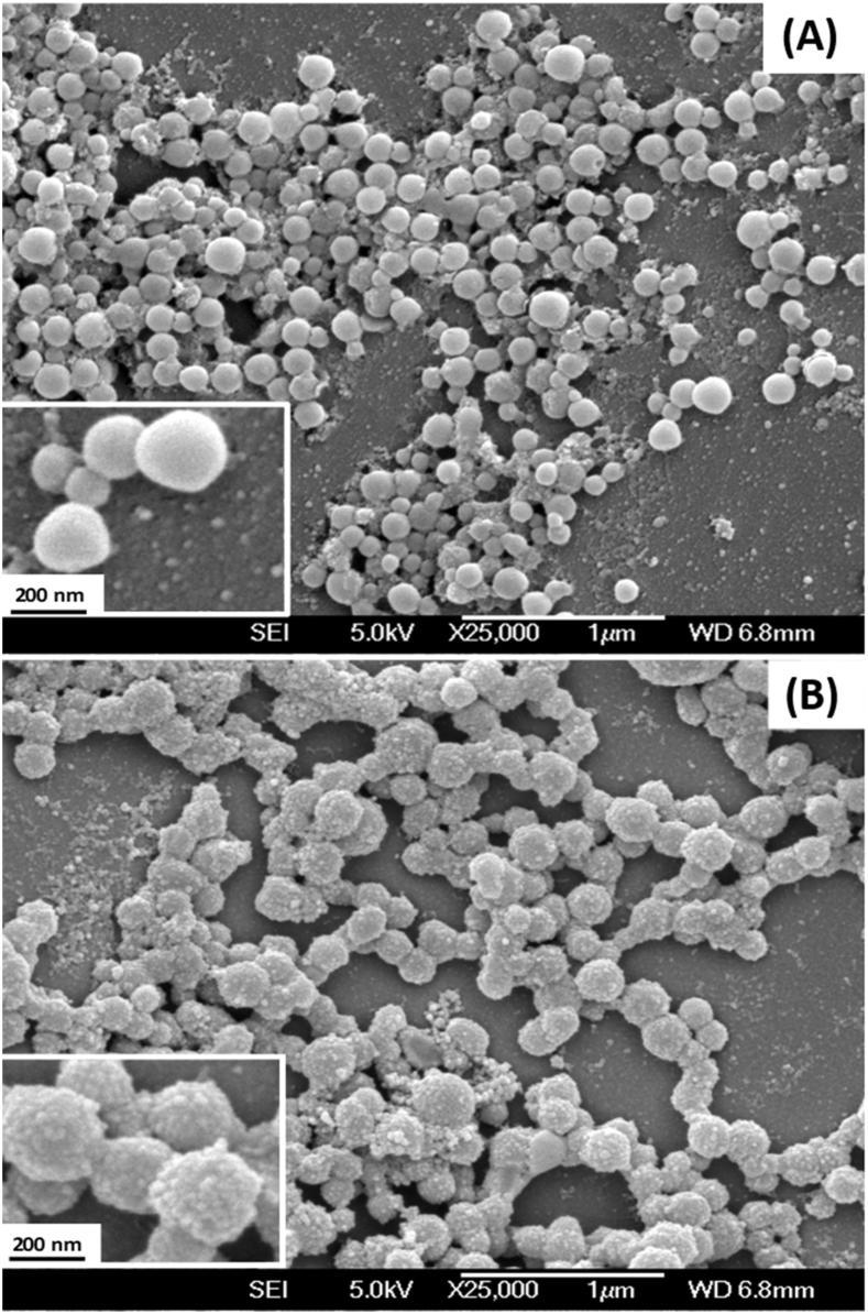 https://cdn.ncbi.nlm.nih.gov/pmc/blobs/e853/8105877/91c187b0f511/gr2.jpg