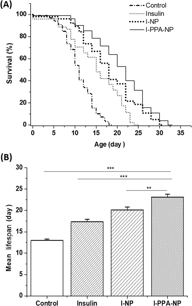https://cdn.ncbi.nlm.nih.gov/pmc/blobs/e853/8105877/dd386a5c3f87/gr9.jpg