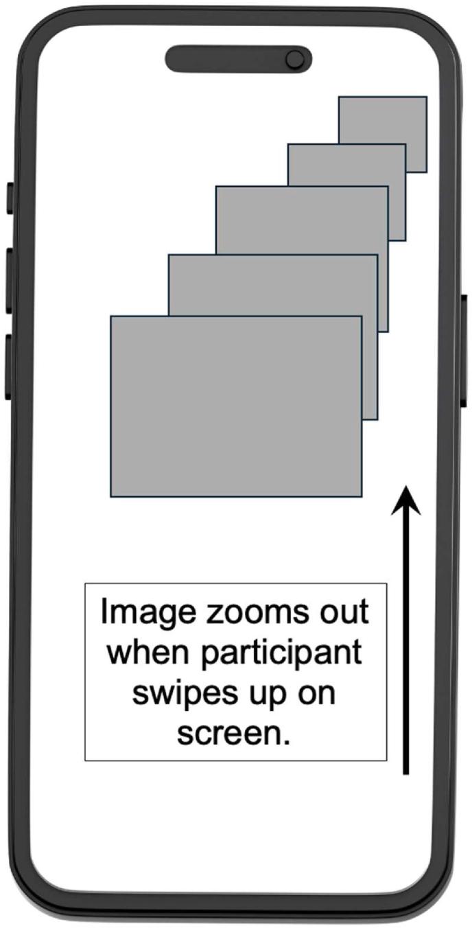 https://cdn.ncbi.nlm.nih.gov/pmc/blobs/e855/11814518/e349602164f6/gr2.jpg