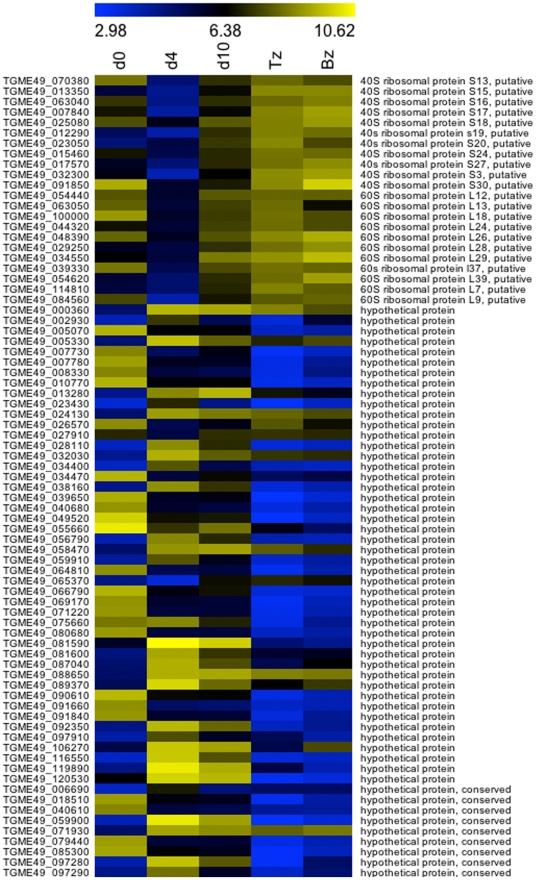 https://cdn.ncbi.nlm.nih.gov/pmc/blobs/e856/3278417/aaaec75167f6/pone.0029998.g002.jpg