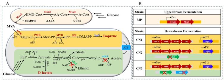 https://cdn.ncbi.nlm.nih.gov/pmc/blobs/e857/8659262/c528bdeee68b/molecules-26-07173-g001.jpg