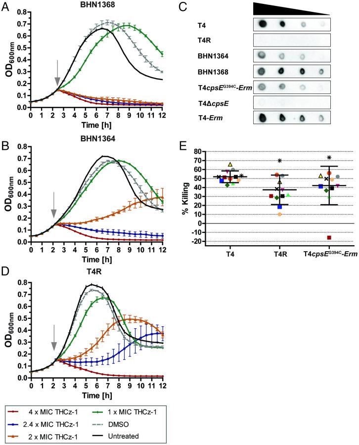 https://cdn.ncbi.nlm.nih.gov/pmc/blobs/e858/8617507/2e7a9a120e74/pnas.202108244fig04.jpg