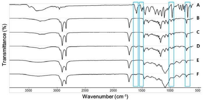 https://cdn.ncbi.nlm.nih.gov/pmc/blobs/e859/5618352/874308d7f0e4/nanomaterials-07-00241-g004.jpg