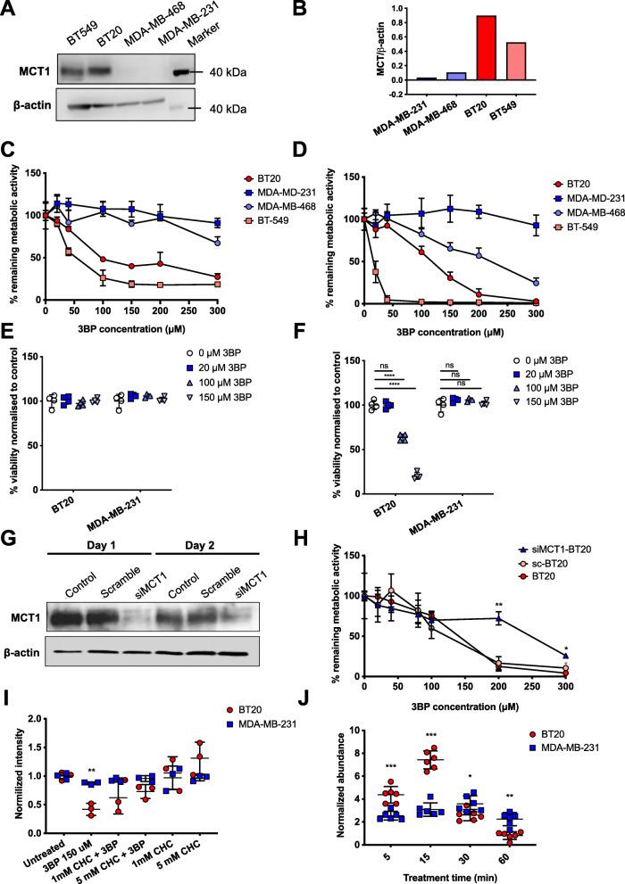 https://cdn.ncbi.nlm.nih.gov/pmc/blobs/e859/8515664/1ec6be2af07f/40170_2021_273_Fig1_HTML.jpg