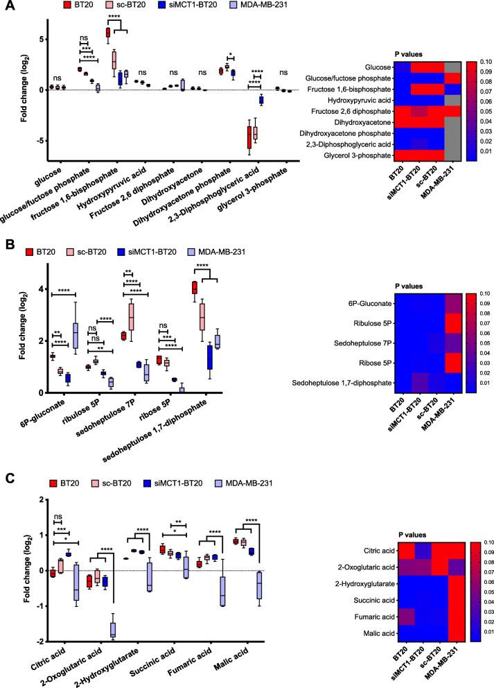 https://cdn.ncbi.nlm.nih.gov/pmc/blobs/e859/8515664/d7e5c720e472/40170_2021_273_Fig2_HTML.jpg