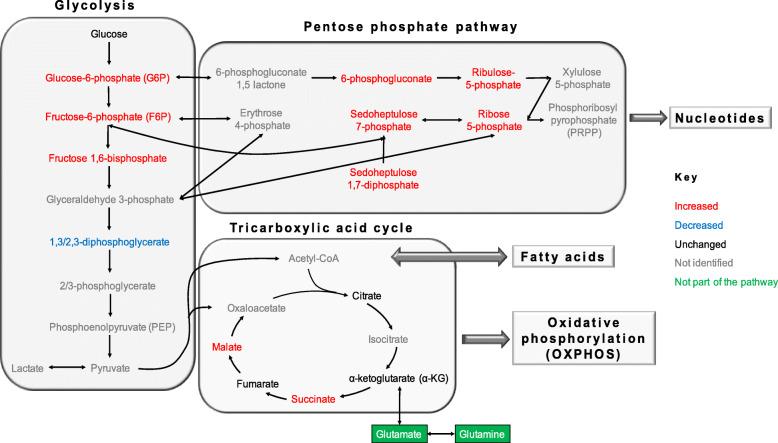 https://cdn.ncbi.nlm.nih.gov/pmc/blobs/e859/8515664/e29fbd71853e/40170_2021_273_Fig3_HTML.jpg