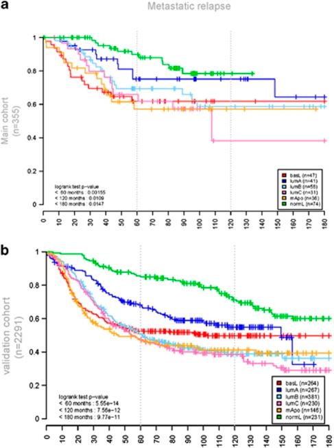 https://cdn.ncbi.nlm.nih.gov/pmc/blobs/e85b/3307061/2c1824eb3f80/onc2011301f2.jpg
