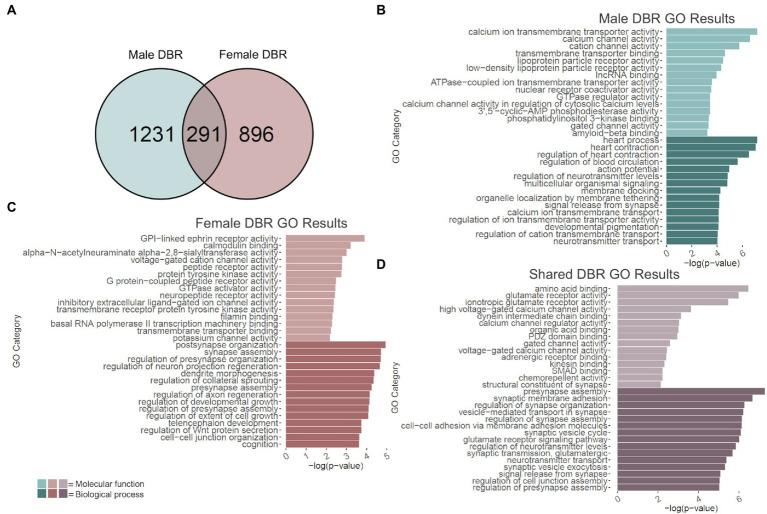https://cdn.ncbi.nlm.nih.gov/pmc/blobs/e85d/10020663/8c98ff38e3b0/fnmol-16-1082104-g005.jpg