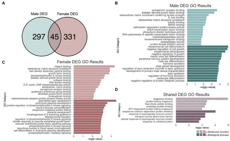 https://cdn.ncbi.nlm.nih.gov/pmc/blobs/e85d/10020663/94989213afc9/fnmol-16-1082104-g002.jpg