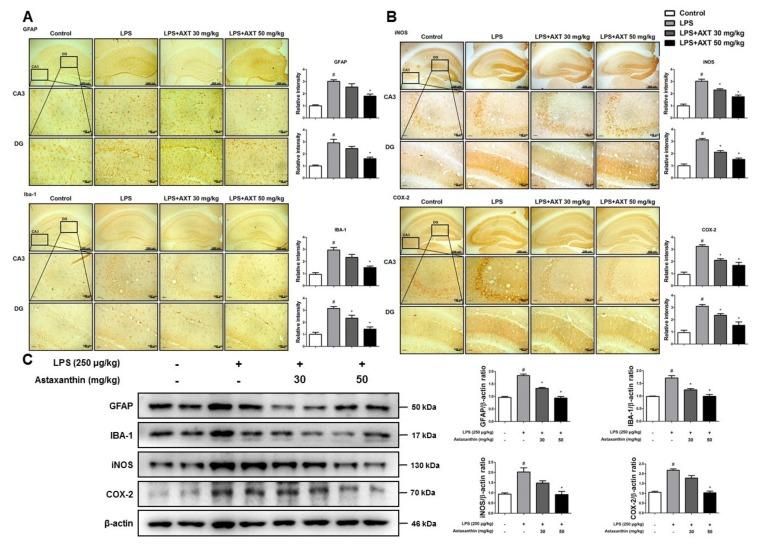 https://cdn.ncbi.nlm.nih.gov/pmc/blobs/e85d/6410230/461ce5b5c63e/marinedrugs-17-00123-g003.jpg