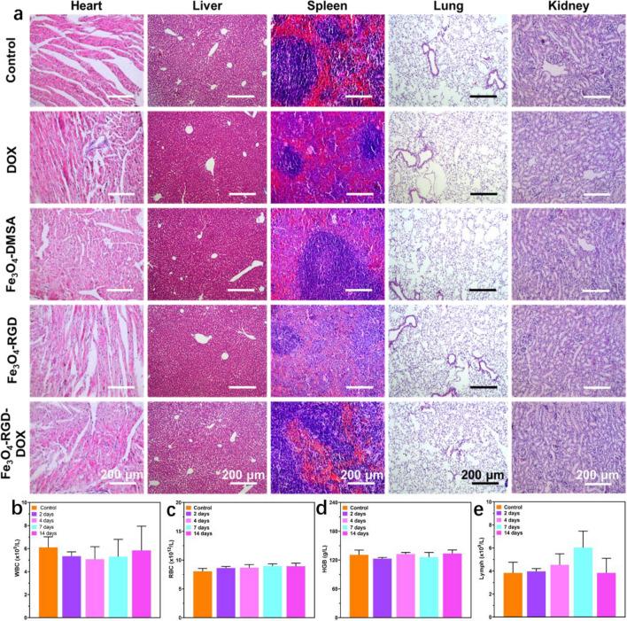 https://cdn.ncbi.nlm.nih.gov/pmc/blobs/e85e/11082189/00336376ae27/41598_2024_59525_Fig8_HTML.jpg