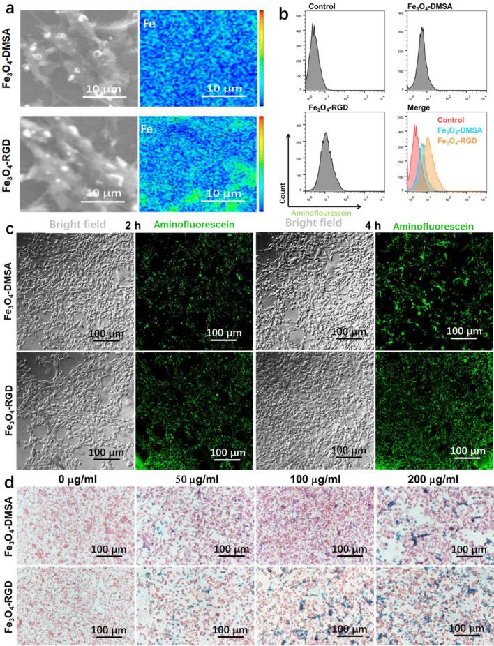 https://cdn.ncbi.nlm.nih.gov/pmc/blobs/e85e/11082189/37097ac24fe2/41598_2024_59525_Fig2_HTML.jpg