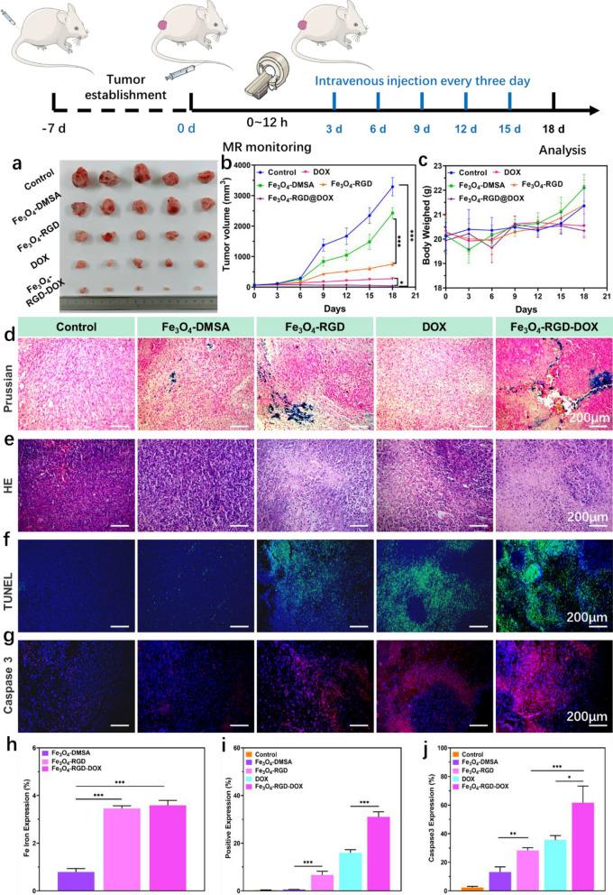 https://cdn.ncbi.nlm.nih.gov/pmc/blobs/e85e/11082189/4ca9940104dd/41598_2024_59525_Fig7_HTML.jpg