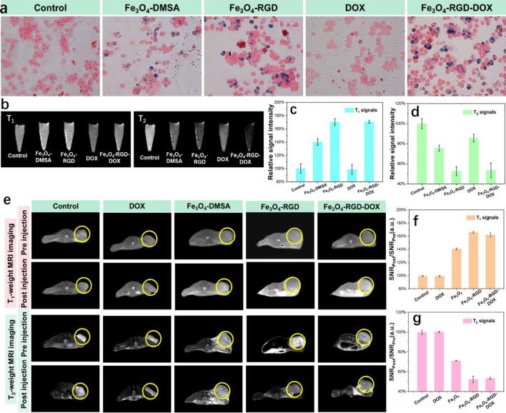 https://cdn.ncbi.nlm.nih.gov/pmc/blobs/e85e/11082189/a663b838ca1c/41598_2024_59525_Fig6_HTML.jpg