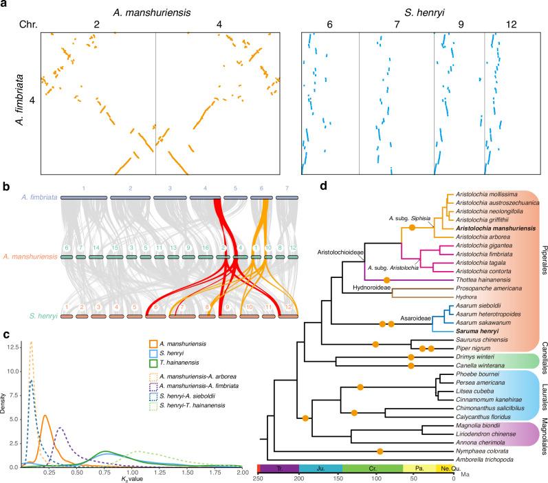 https://cdn.ncbi.nlm.nih.gov/pmc/blobs/e85e/12041406/ceedb3cd1cd0/41467_2025_59343_Fig2_HTML.jpg