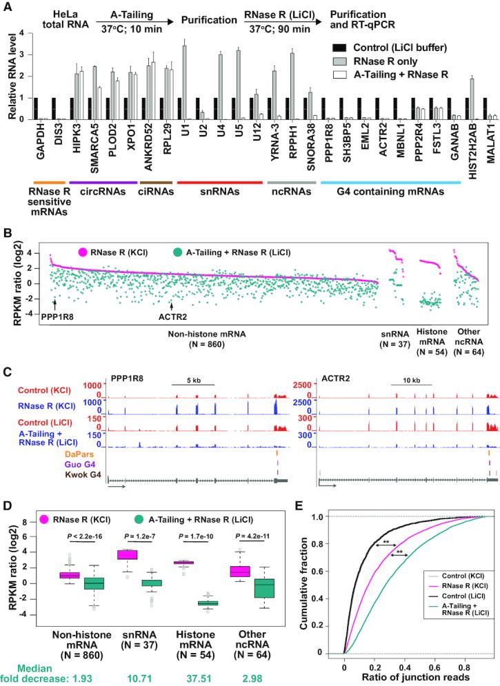 https://cdn.ncbi.nlm.nih.gov/pmc/blobs/e85f/6895279/46349faf5a01/gkz576fig6.jpg