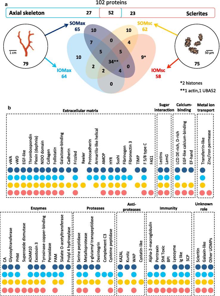 https://cdn.ncbi.nlm.nih.gov/pmc/blobs/e860/7853314/0ef6c2e06d5d/12862_2020_1734_Fig2_HTML.jpg