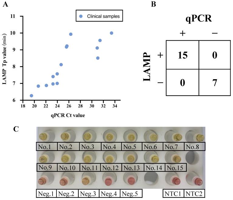 https://cdn.ncbi.nlm.nih.gov/pmc/blobs/e860/9864920/11361251a345/viruses-15-00084-g004.jpg