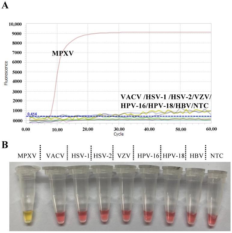 https://cdn.ncbi.nlm.nih.gov/pmc/blobs/e860/9864920/acaaf33b83b9/viruses-15-00084-g003.jpg