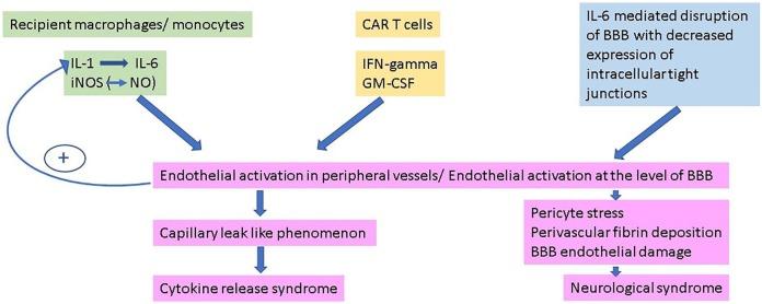https://cdn.ncbi.nlm.nih.gov/pmc/blobs/e861/6971963/c94fc0cfd7b0/10.1177_2040620719899897-fig1.jpg