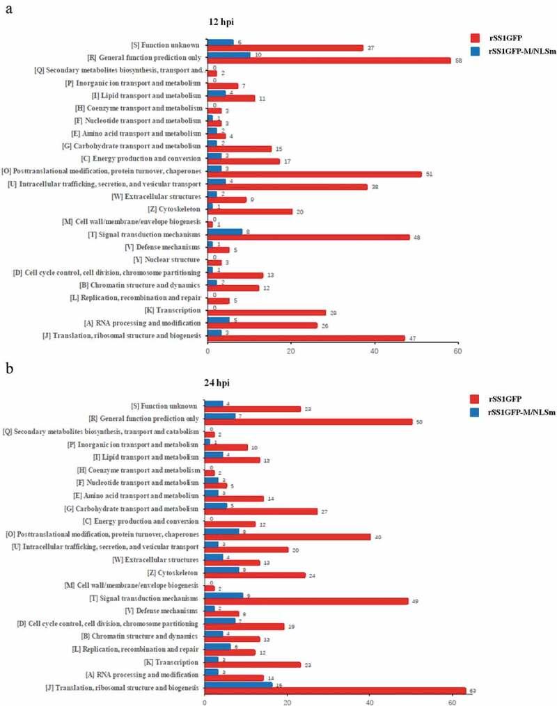https://cdn.ncbi.nlm.nih.gov/pmc/blobs/e861/7549962/0cb2392dbe3b/KVIR_A_1770482_F0006_OC.jpg