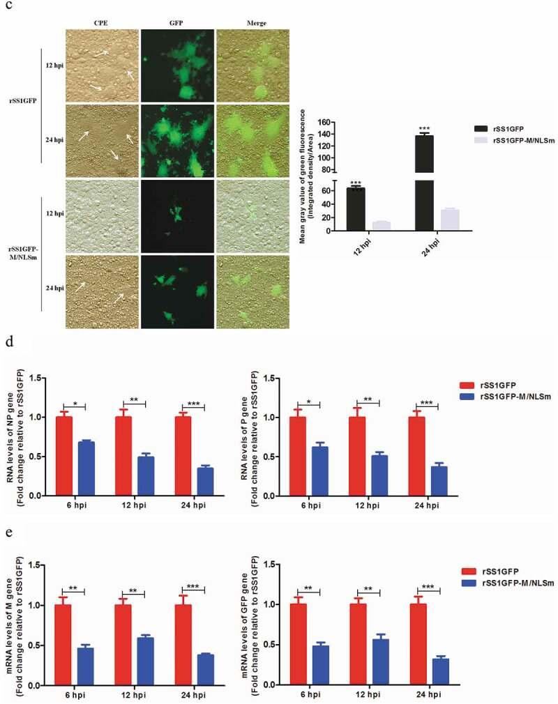 https://cdn.ncbi.nlm.nih.gov/pmc/blobs/e861/7549962/dfad51b2df9b/KVIR_A_1770482_F0001b_OC.jpg
