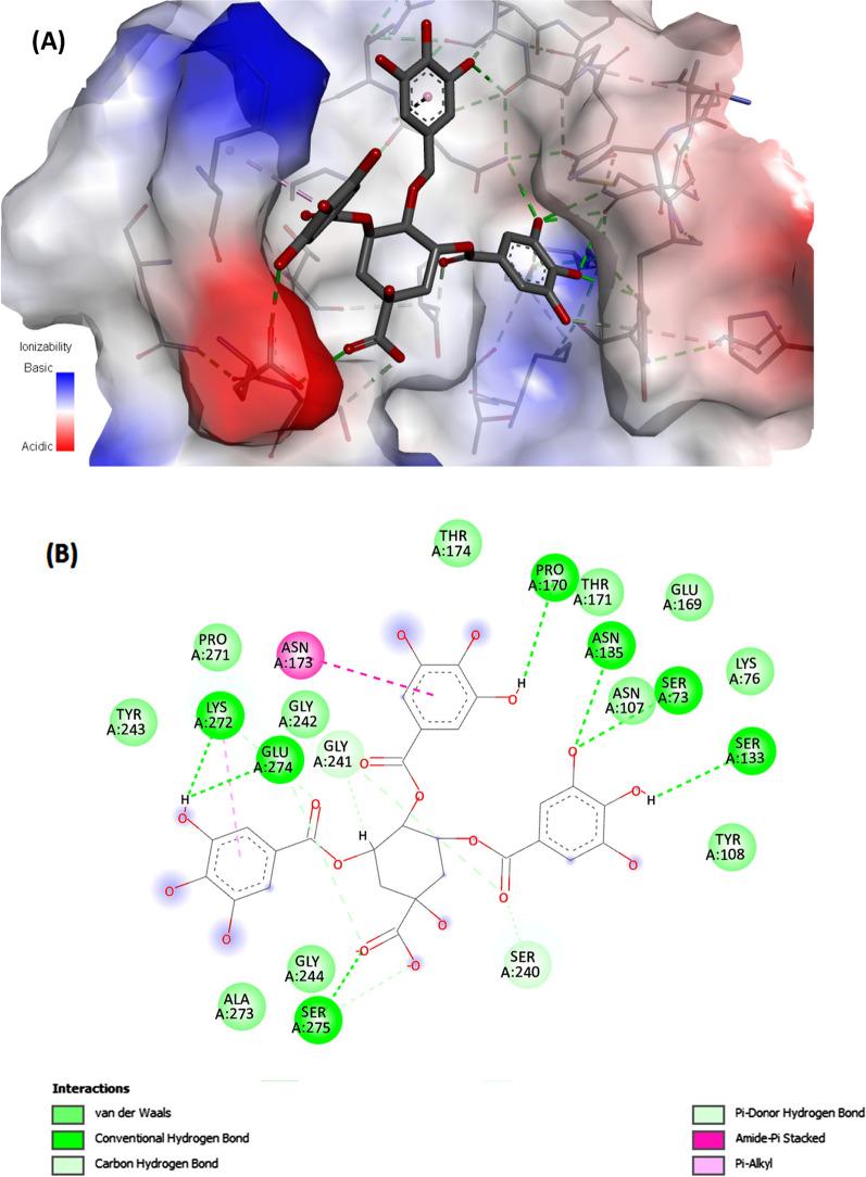 https://cdn.ncbi.nlm.nih.gov/pmc/blobs/e863/11308155/0744ed6e6d32/12934_2024_2421_Fig5_HTML.jpg