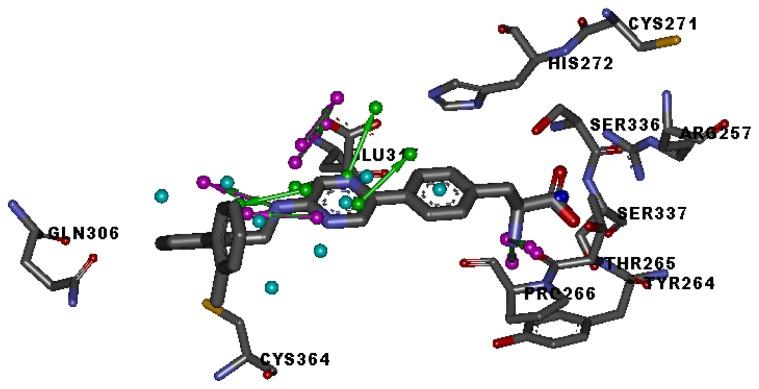 https://cdn.ncbi.nlm.nih.gov/pmc/blobs/e864/3382768/66d9e01a47e3/ijms-13-05348f2.jpg