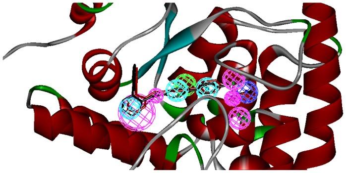 https://cdn.ncbi.nlm.nih.gov/pmc/blobs/e864/3382768/6e34c084e244/ijms-13-05348f4.jpg