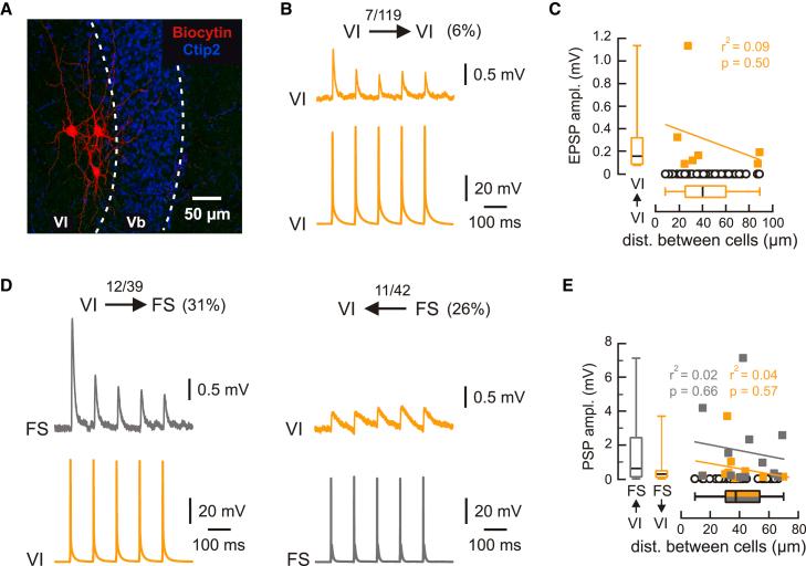 https://cdn.ncbi.nlm.nih.gov/pmc/blobs/e865/11999471/58f6e5525a40/gr5.jpg