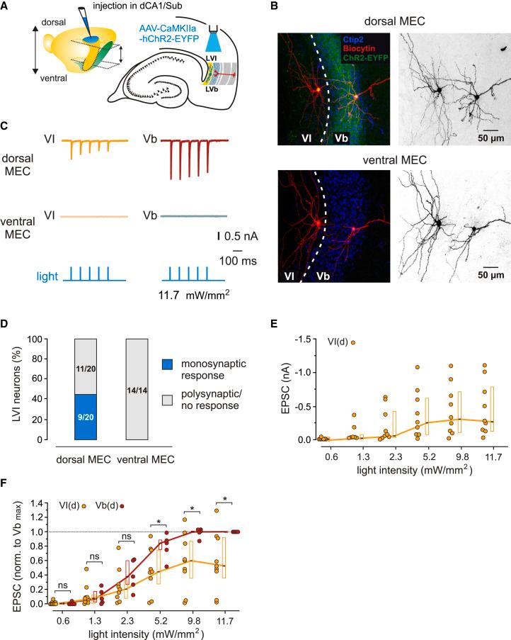https://cdn.ncbi.nlm.nih.gov/pmc/blobs/e865/11999471/cf212282ee1f/gr4.jpg