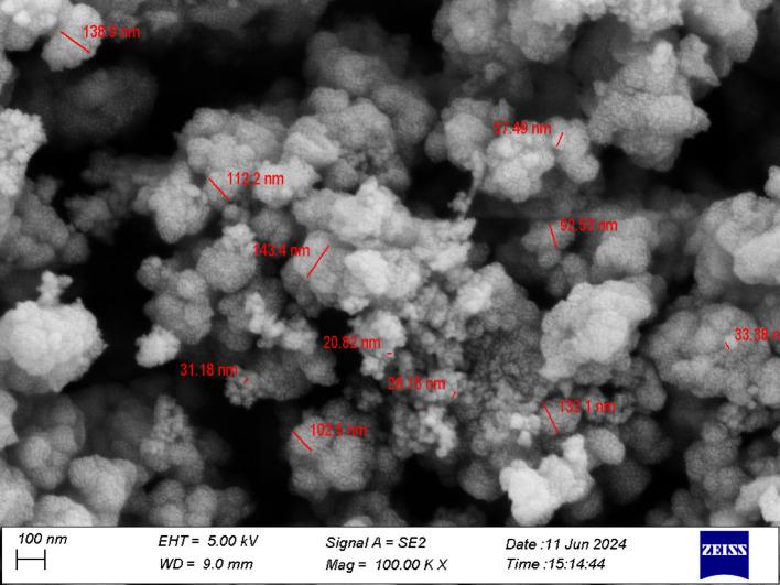 https://cdn.ncbi.nlm.nih.gov/pmc/blobs/e866/12350853/18ac16d239e1/11671_2025_4334_Fig3_HTML.jpg