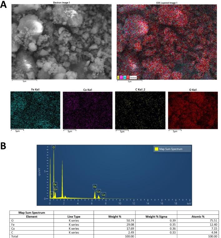 https://cdn.ncbi.nlm.nih.gov/pmc/blobs/e866/12350853/a64642065e2a/11671_2025_4334_Fig4_HTML.jpg