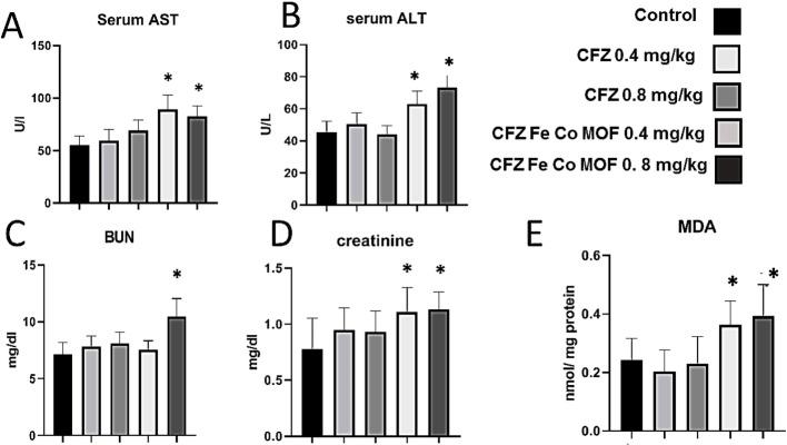 https://cdn.ncbi.nlm.nih.gov/pmc/blobs/e866/12350853/e041ed9f3017/11671_2025_4334_Fig7_HTML.jpg