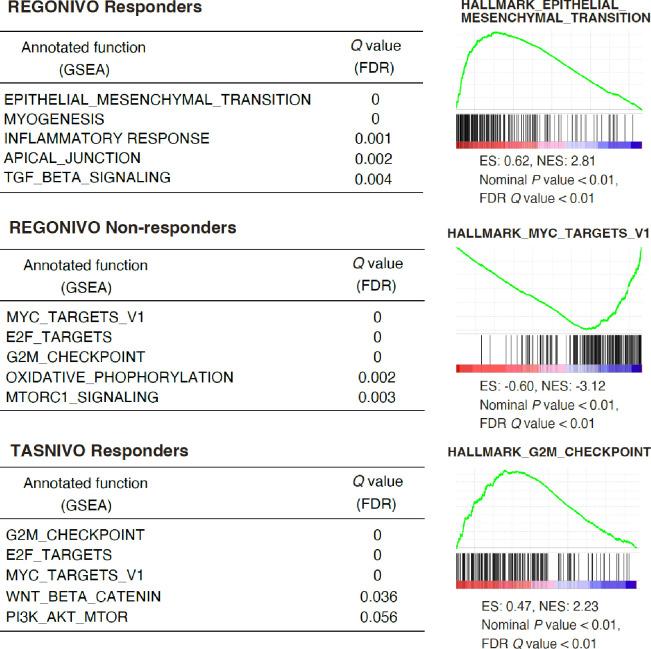https://cdn.ncbi.nlm.nih.gov/pmc/blobs/e867/10860060/38d6d2e8de86/jitc-2023-008210f04.jpg
