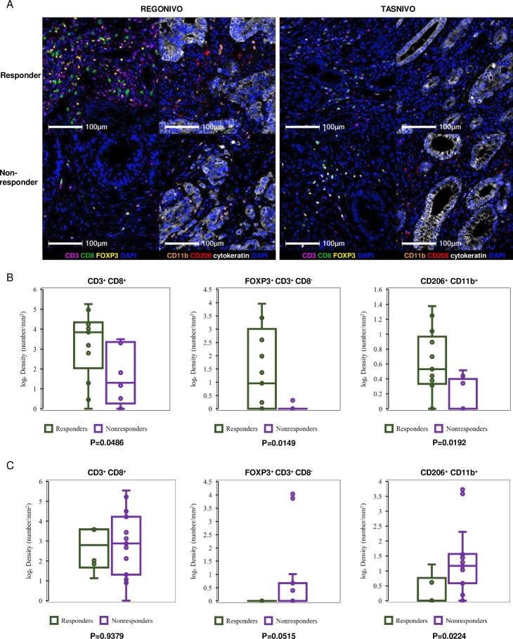 https://cdn.ncbi.nlm.nih.gov/pmc/blobs/e867/10860060/3d05a4e642bc/jitc-2023-008210f06.jpg