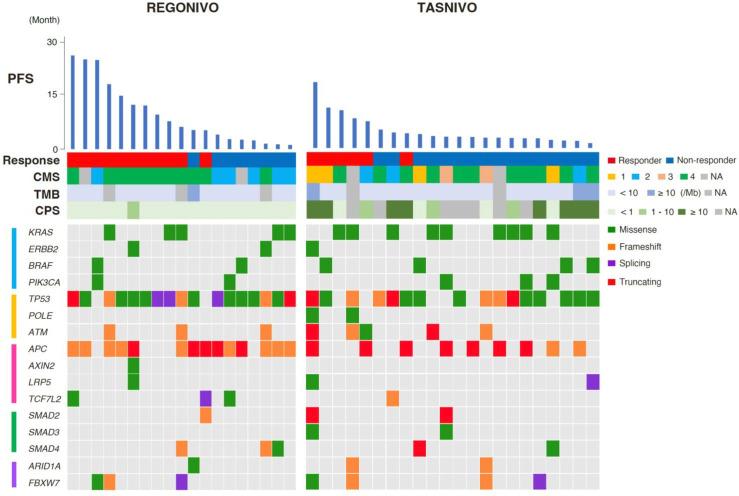 https://cdn.ncbi.nlm.nih.gov/pmc/blobs/e867/10860060/77e59980f107/jitc-2023-008210f03.jpg