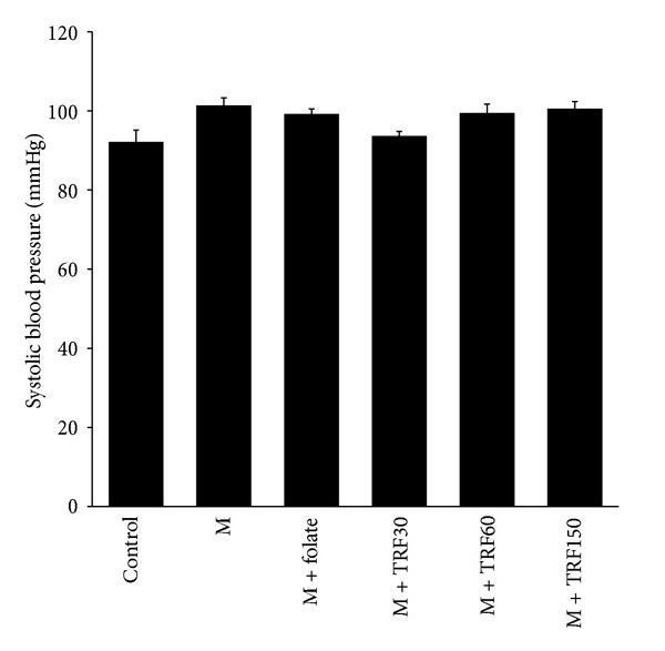 https://cdn.ncbi.nlm.nih.gov/pmc/blobs/e869/3616353/069f5e8d53aa/ECAM2013-976967.008.jpg