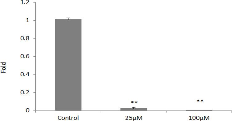 https://cdn.ncbi.nlm.nih.gov/pmc/blobs/e86b/8629468/93653357eea1/APJCP-22-2335-g005.jpg