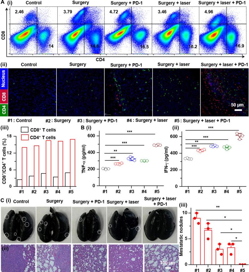 https://cdn.ncbi.nlm.nih.gov/pmc/blobs/e86d/11328900/055815b8a7da/sciadv.ado2741-f7.jpg