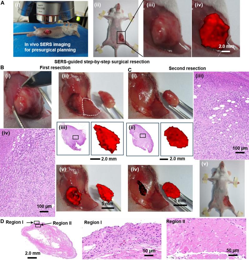 https://cdn.ncbi.nlm.nih.gov/pmc/blobs/e86d/11328900/22b1086395ab/sciadv.ado2741-f5.jpg
