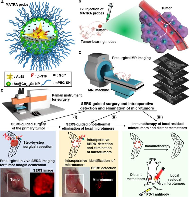 https://cdn.ncbi.nlm.nih.gov/pmc/blobs/e86d/11328900/b9bd29ebefbd/sciadv.ado2741-f1.jpg