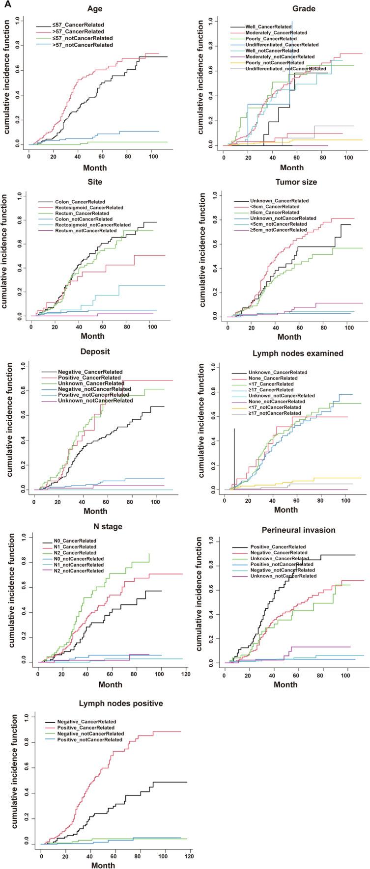 https://cdn.ncbi.nlm.nih.gov/pmc/blobs/e86d/11564222/b231bbfa00d7/12094_2024_3513_Fig5a_HTML.jpg